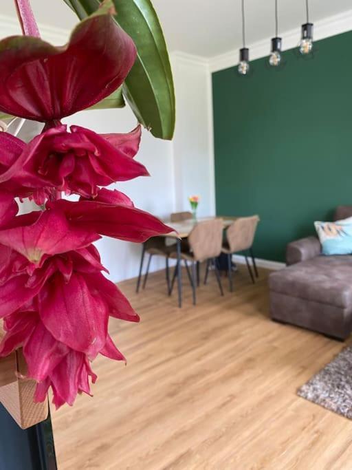 2-Zimmer Zentral In Ferdinandshof, Wlan Modern Екстер'єр фото