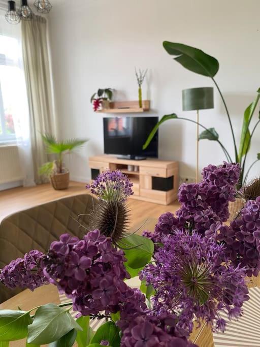 2-Zimmer Zentral In Ferdinandshof, Wlan Modern Екстер'єр фото
